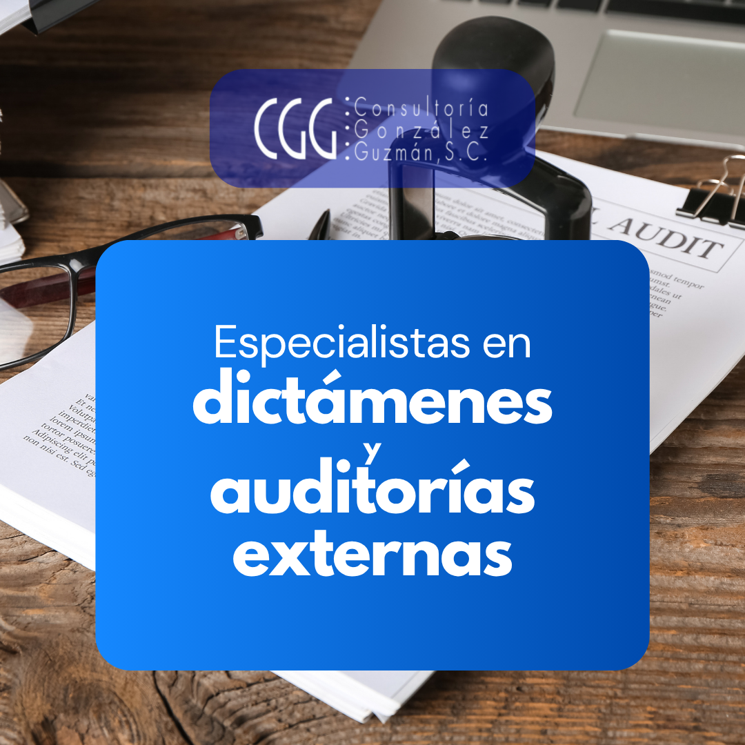 Especialistas en Elaboración de Dictámenes y Auditorías Externas